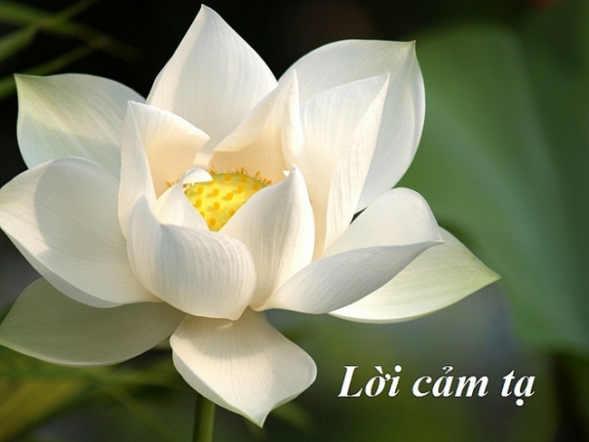 Lời cảm ơn sau đám tang