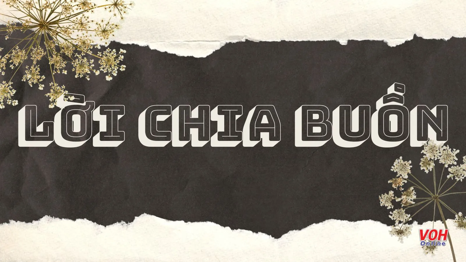 Lời chia buồn của người công giáo - Sự an ủi và hy vọng trong nỗi đau