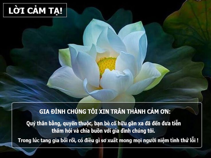 Lời chia buồn hay trong đám tang