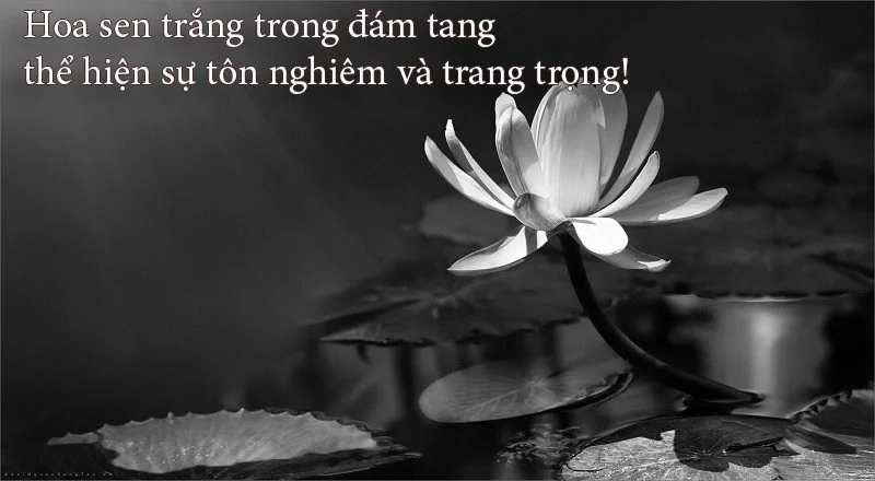 Lời chia buồn khi có người chết - Cách thể hiện sự sẻ chia và đồng cảm