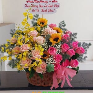 săc màu dịu dàng