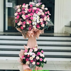 KHỞI ĐẦU THUẬN LỢI