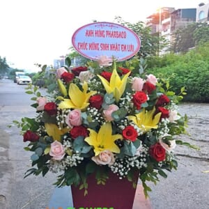 hoa giỏ tặng sinh nhật