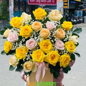 {chudeshop} {diadiem}